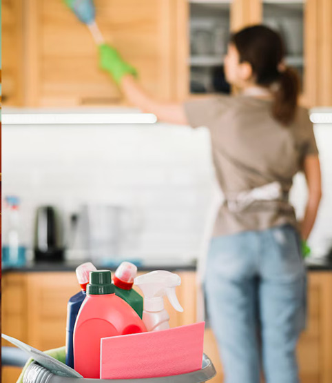 Ménage-à-domicile-2